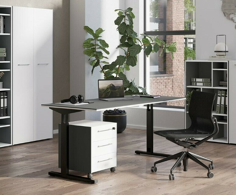 Колекция мебели Fivcalu