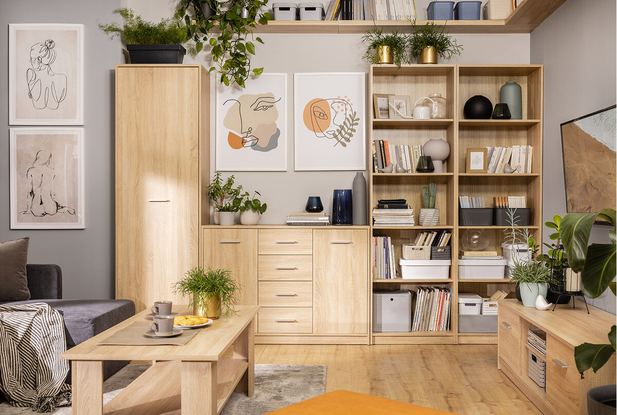 Колекция мебели Novsore