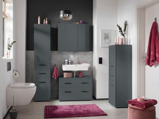 Стоящ шкаф за баня Larlori 103 (Антрацит)