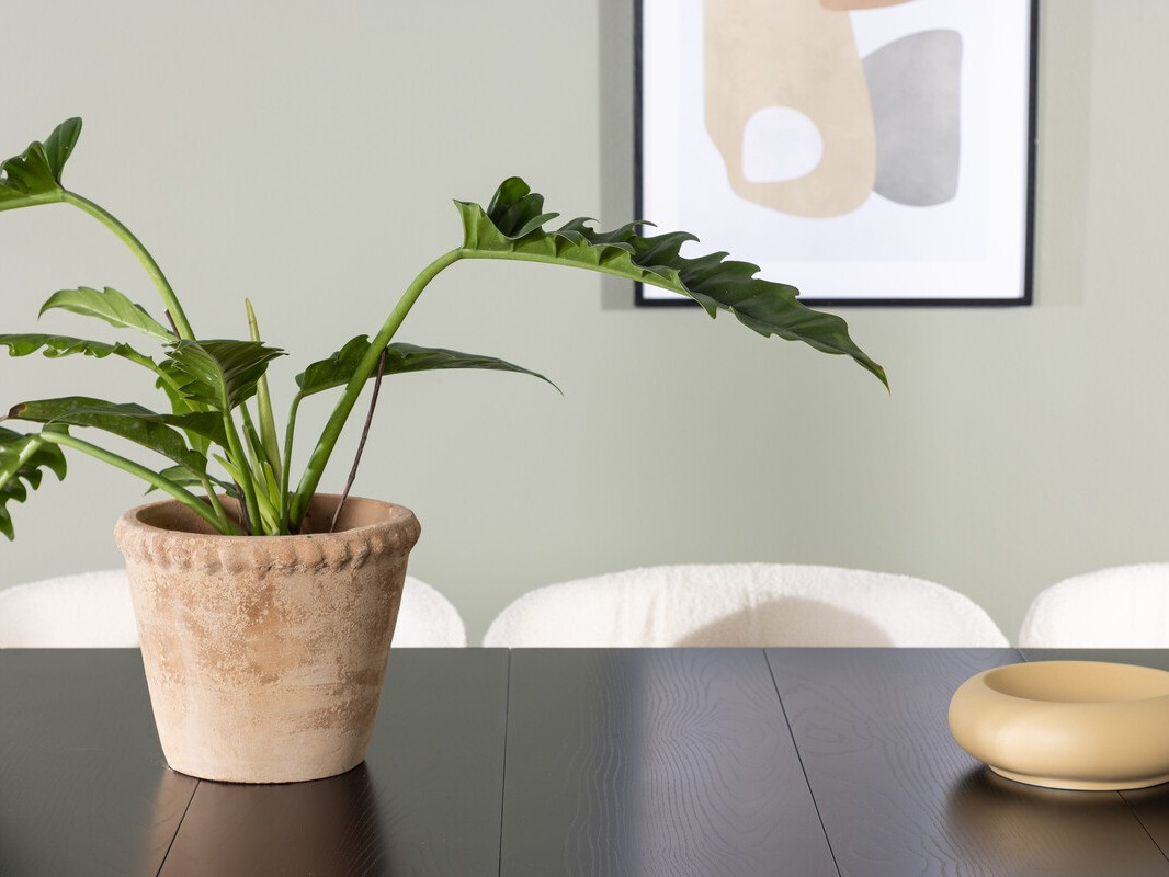 Маса и столове за трапезария Dallas 3962