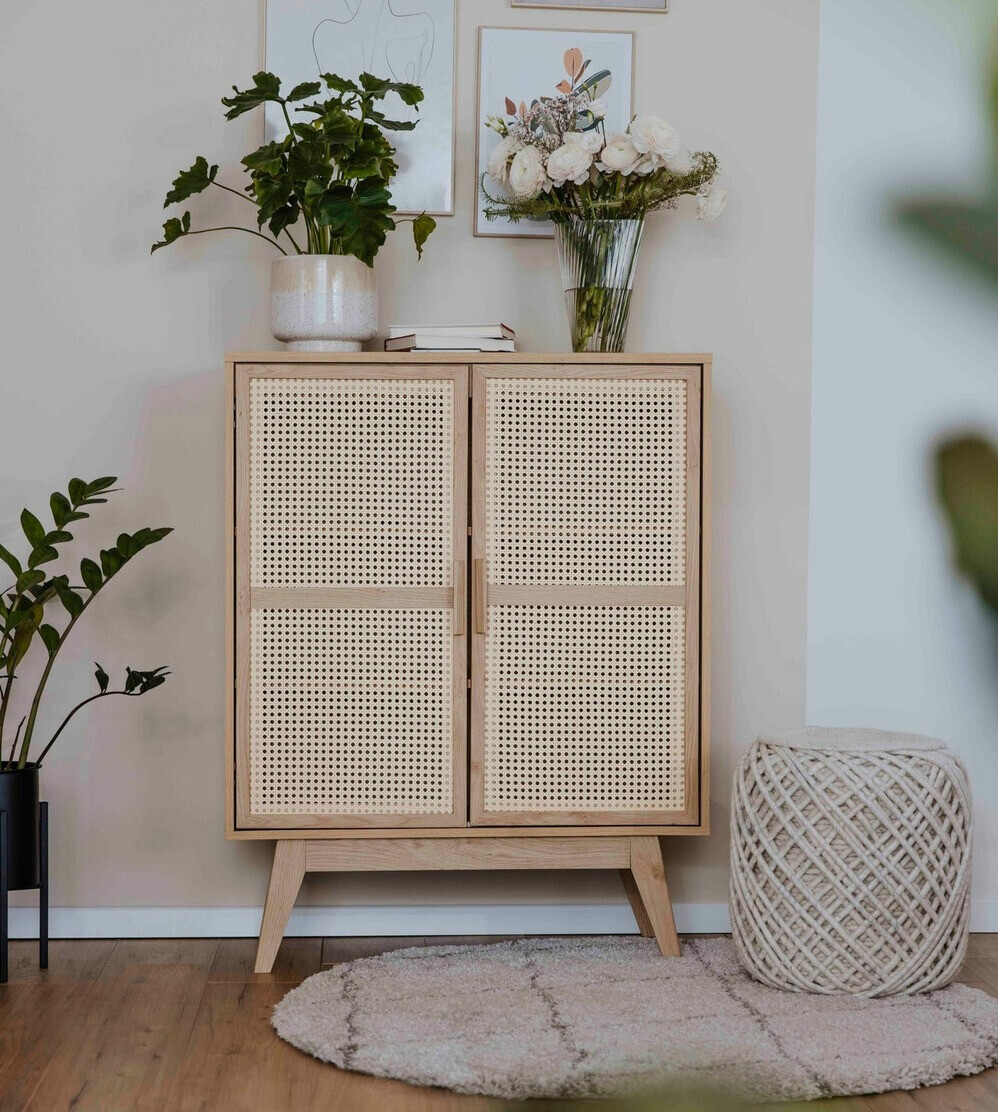 Шкаф Camlora 100