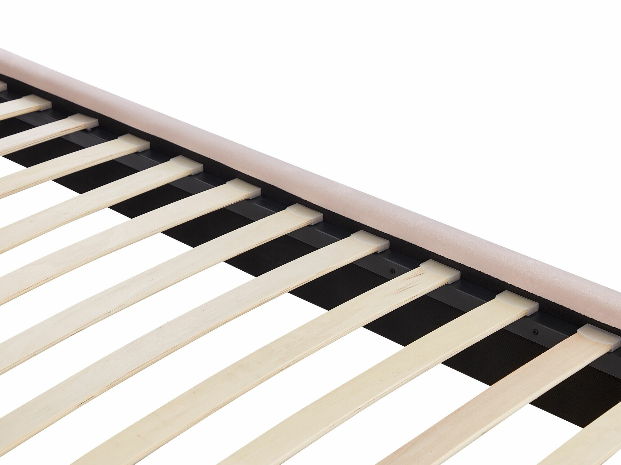 Легло Berwyn 1584 (Роза)