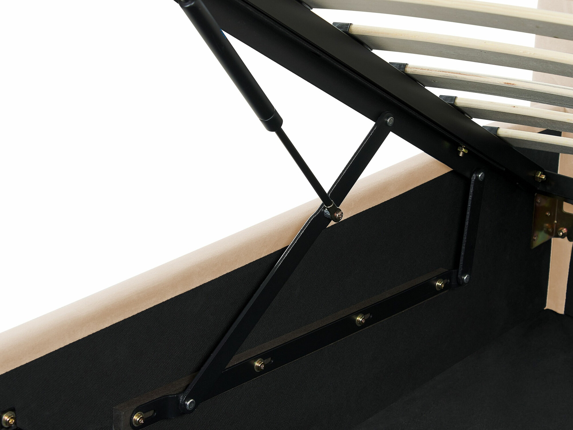 Легло Berwyn 373 (Бежов)