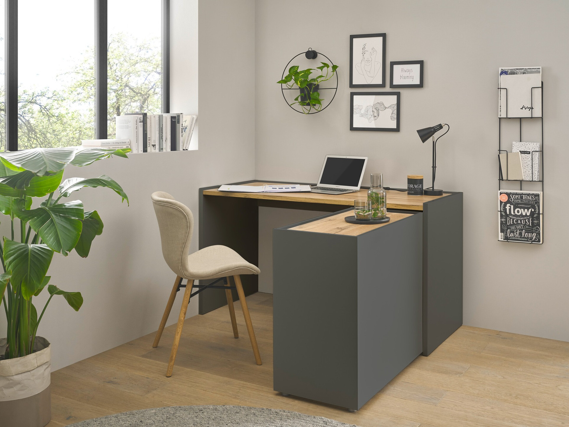 Комплект за домашен офис Elbsori 151 (Антрацит + Дъб уотан)