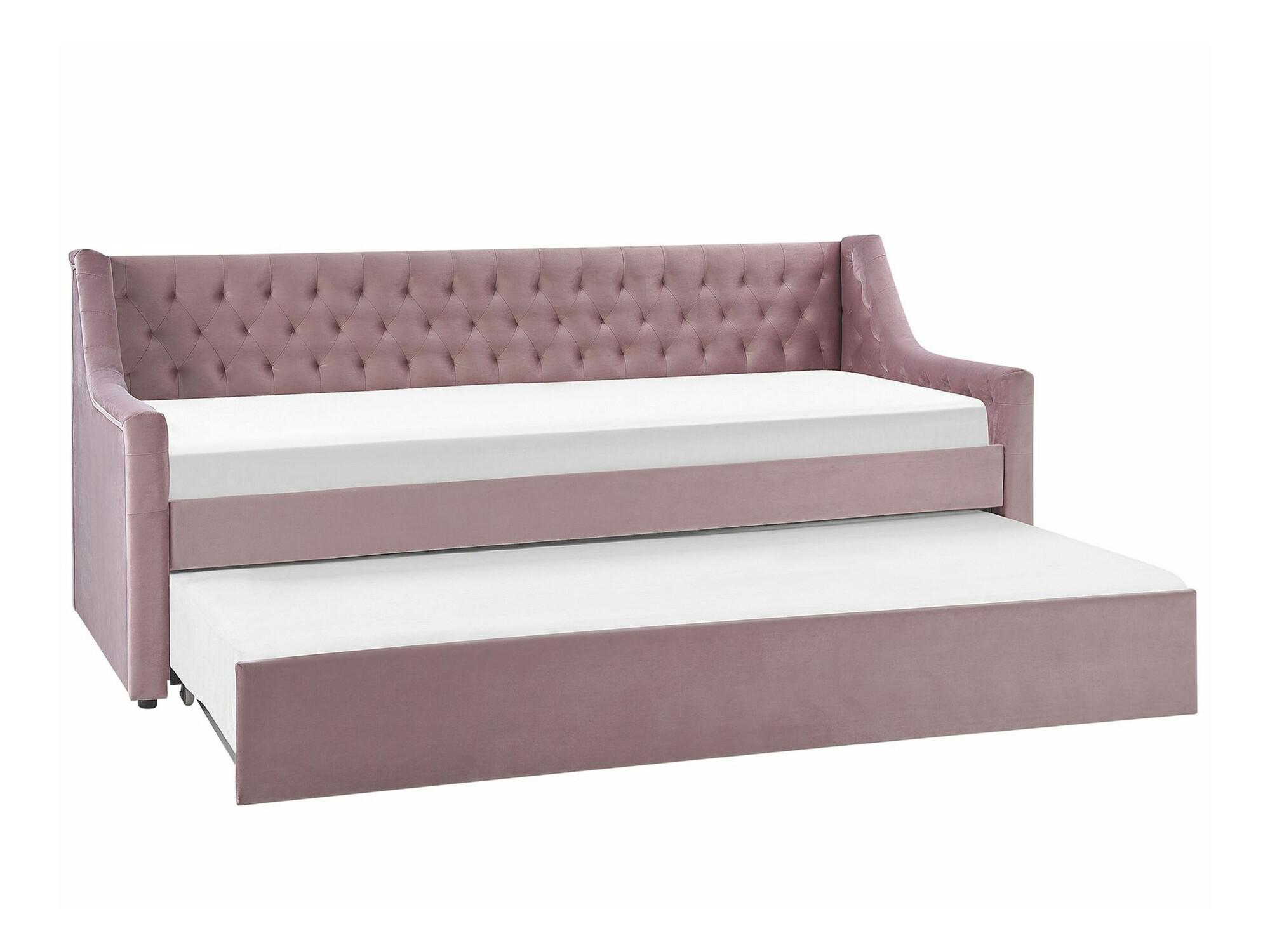 Легло Berwyn 1260 (Роза)