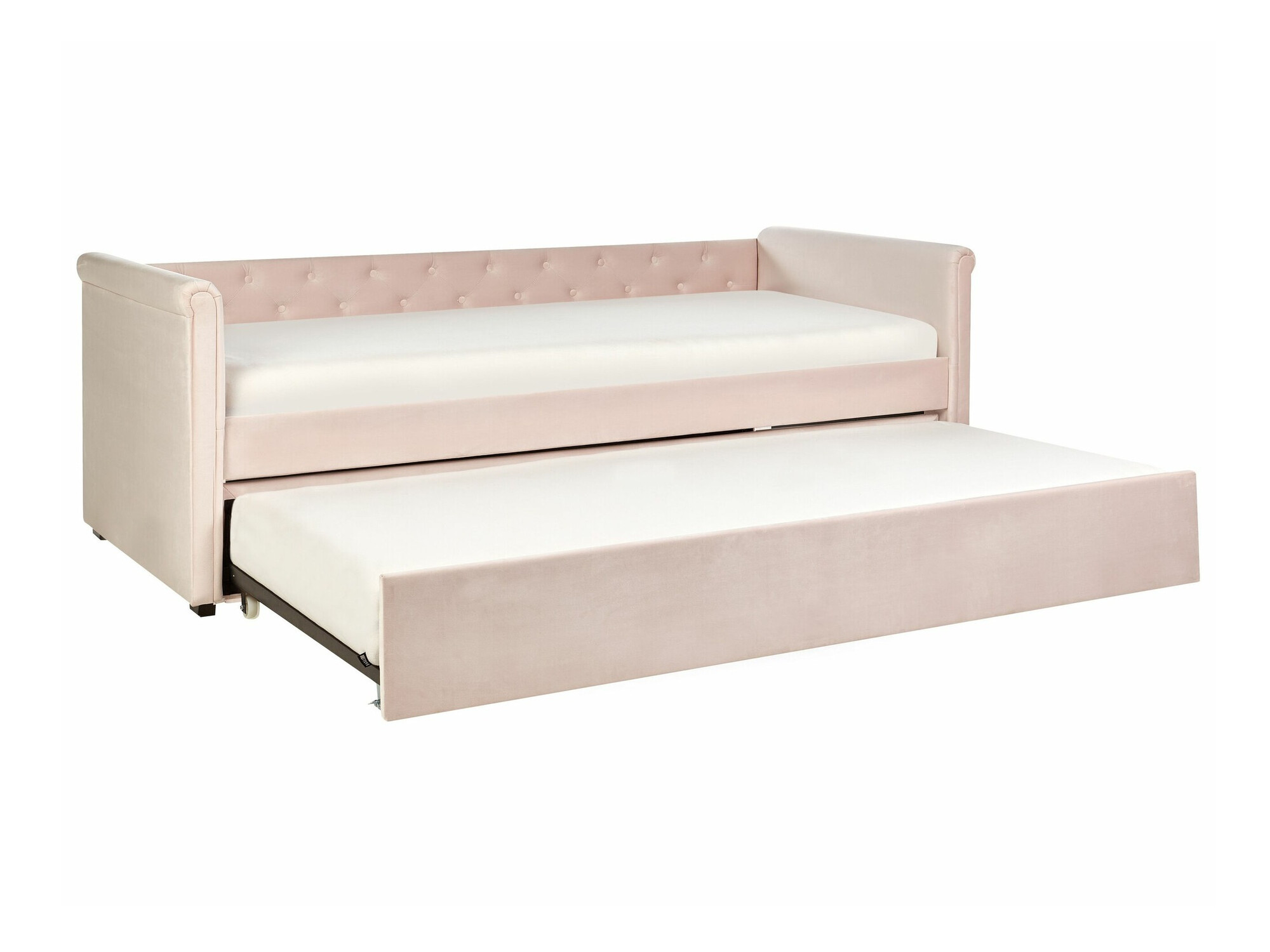 Легло Berwyn 549 (Роза)