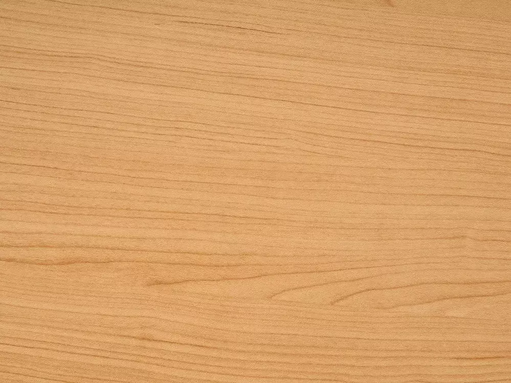 Офис бюро с регулируема височина Berwyn 3128 (Бял + Ярък дърво)