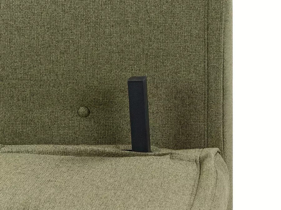 Разтегателен диван Berwyn 3158 (Зелен)