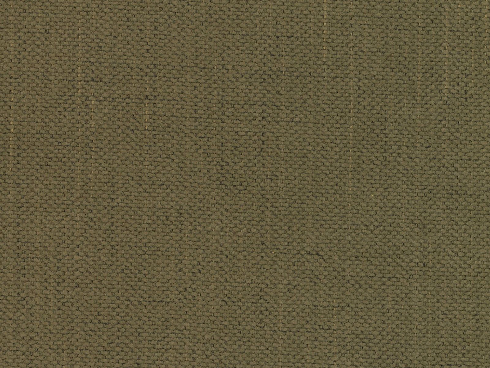 Легло Beckley 336 (Moly 38)