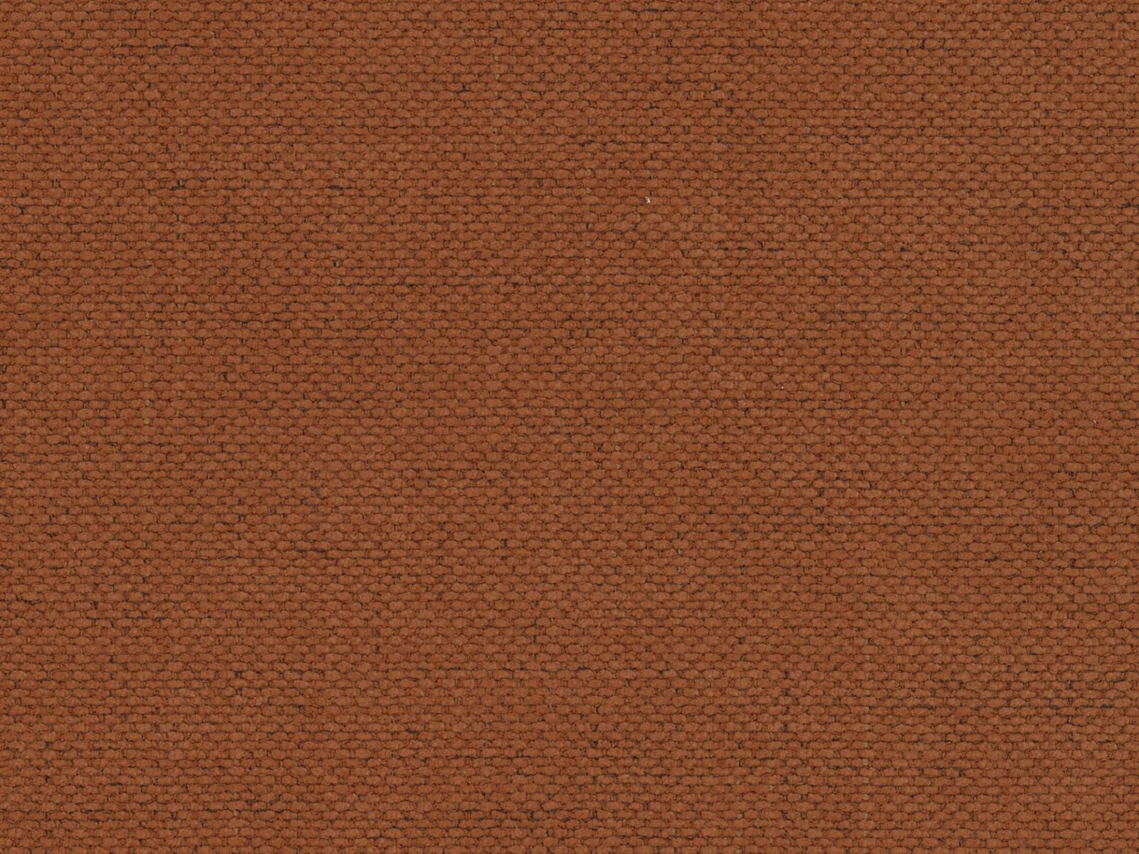 Легло Beckley 336 (Moly 54)