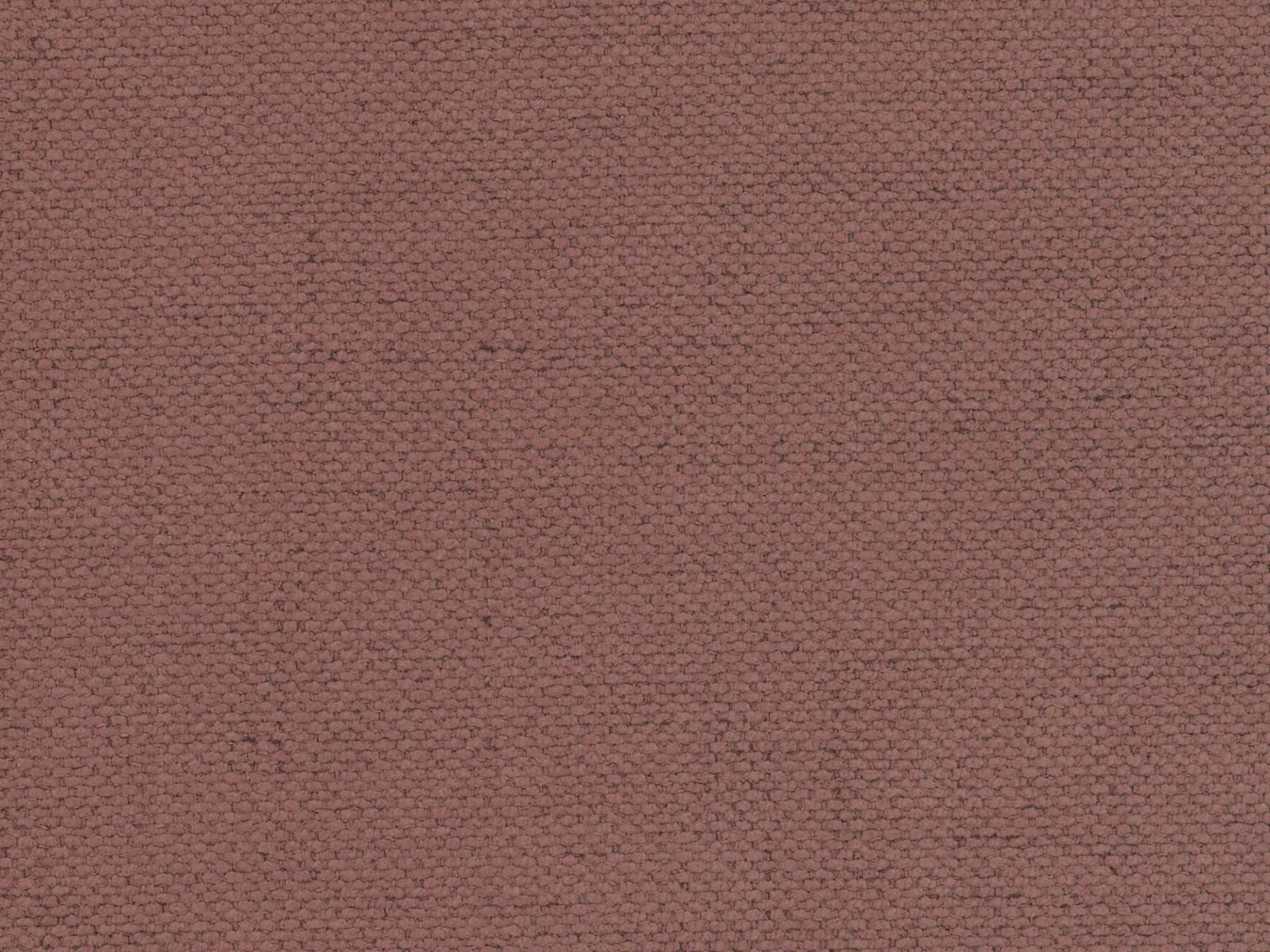 Легло Beckley 336 (Moly 63)