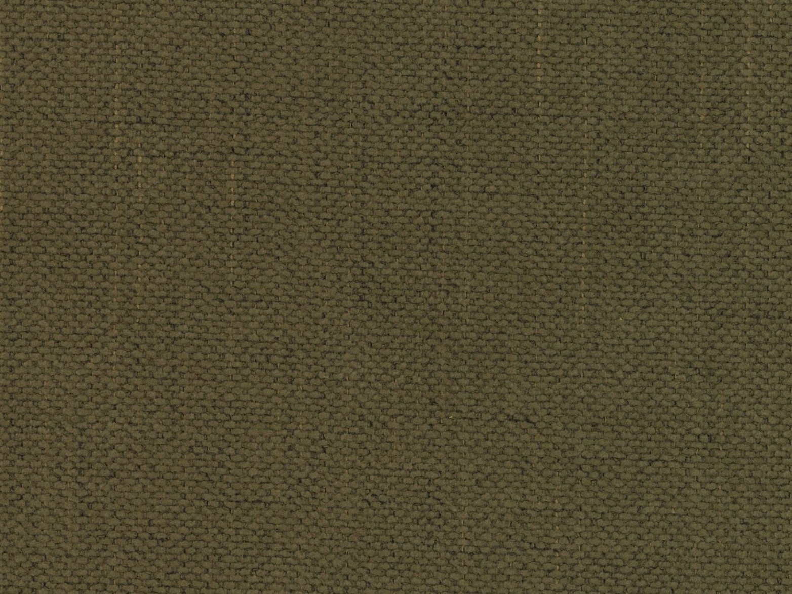 Легло Beckley 346 (Moly 38)