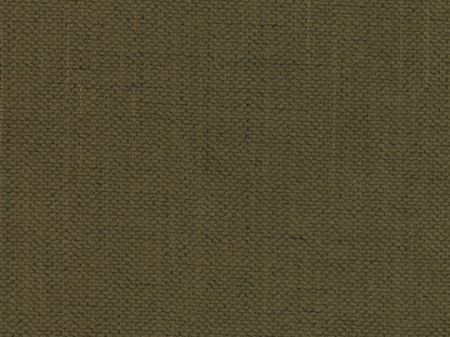 Легло Beckley 346 (Moly 38)