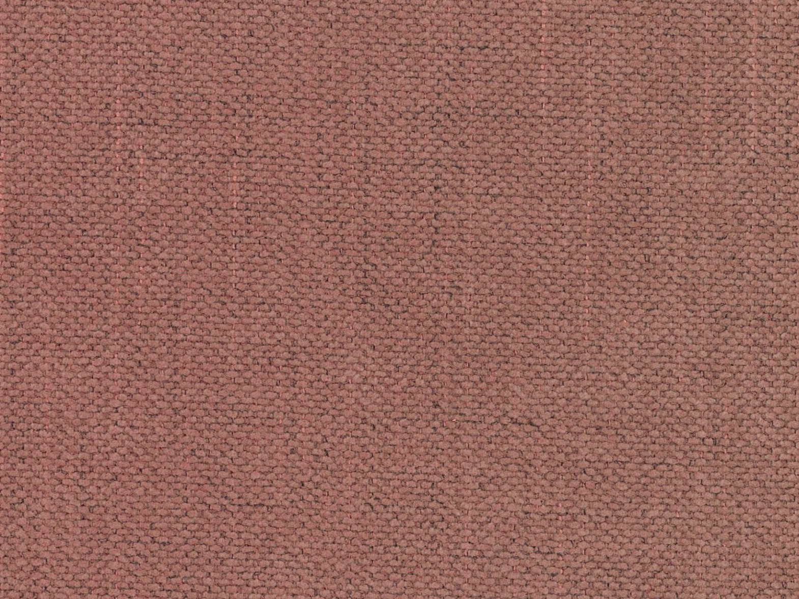 Легло Beckley 346 (Moly 63)
