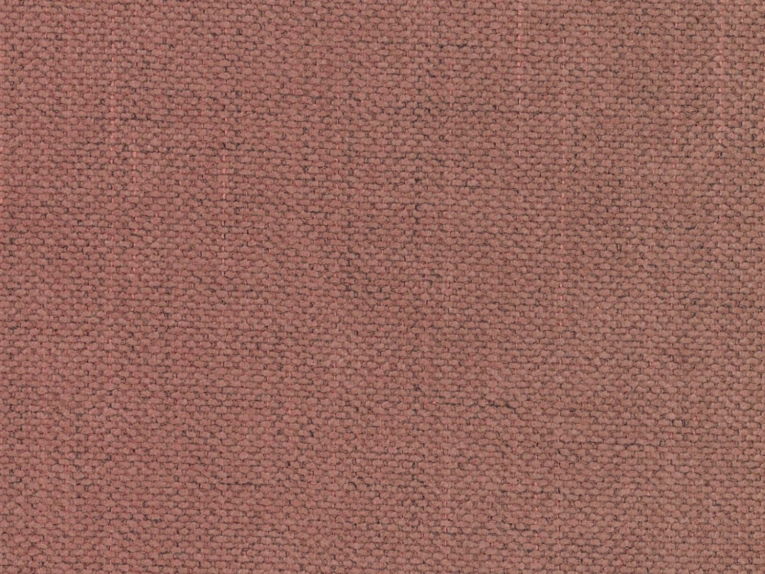 Легло Beckley 346 (Moly 63)