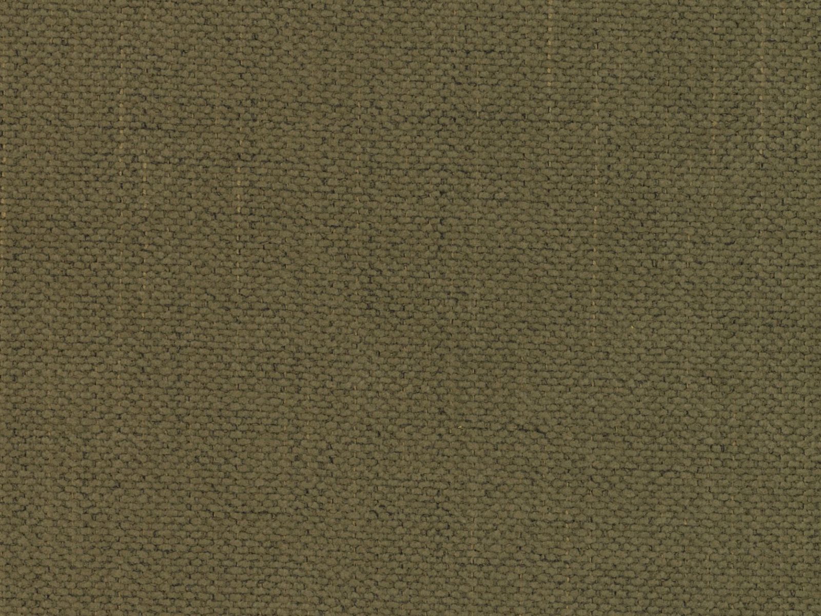 Легло Beckley 347 (Moly 38)
