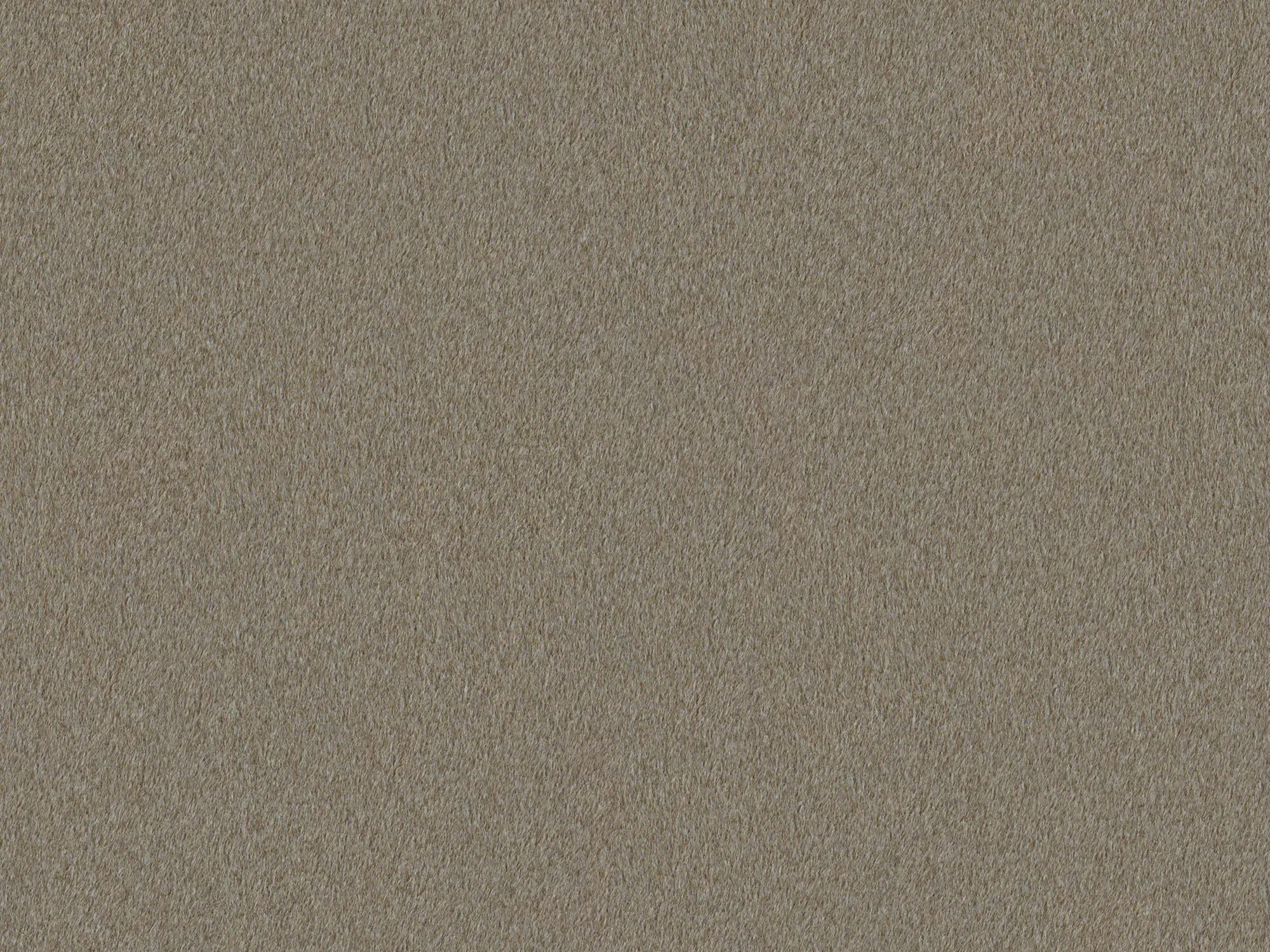 Легло Hesperia 132 (Ruне 16)
